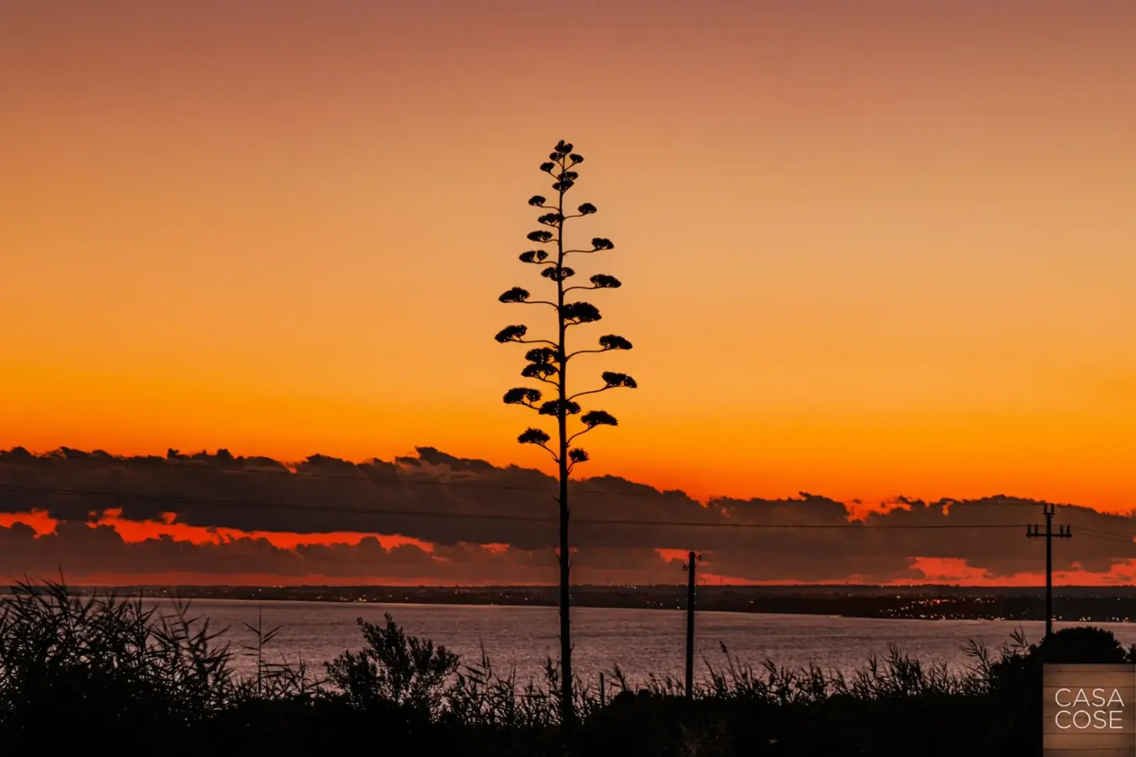 Sailboat at sunset along the Italian coast